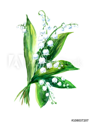 367x500 Lily Of The Valley Bouquet. Greeting Cards. Pattern From White - Lily Of The Valley Watercolor