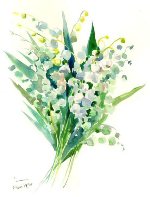 500x654 Lily Of The Valley Watercolor - Lily Of The Valley Watercolor