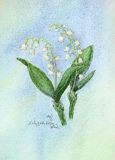 227x315 Jean Skelton Original Art Newest Watercolor Paintings Of Flowers - Lily Of The Valley Watercolor