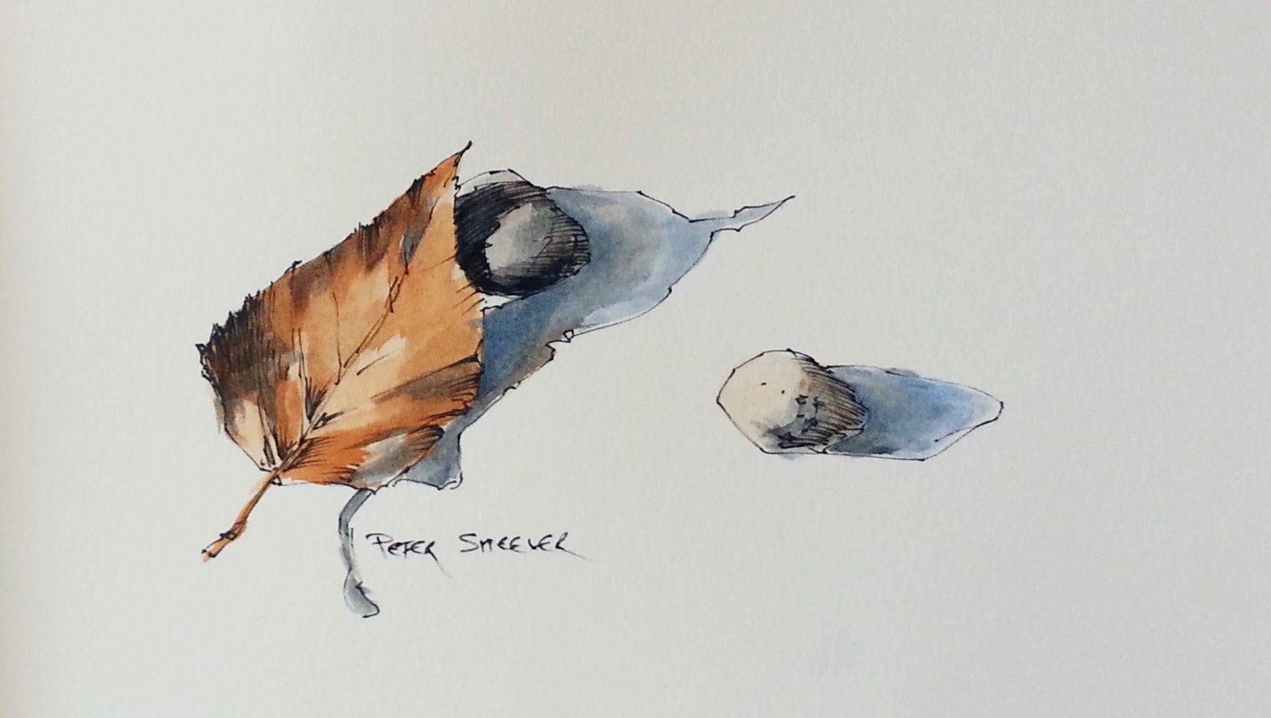 1793x1013 Line And Wash Watercolor Demonstration. How To Paint A Leaf And - Line Watercolor