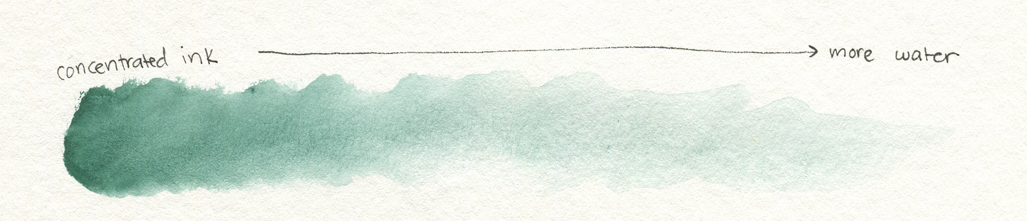 2000x432 Basic Watercolor Techniques - Line Watercolor