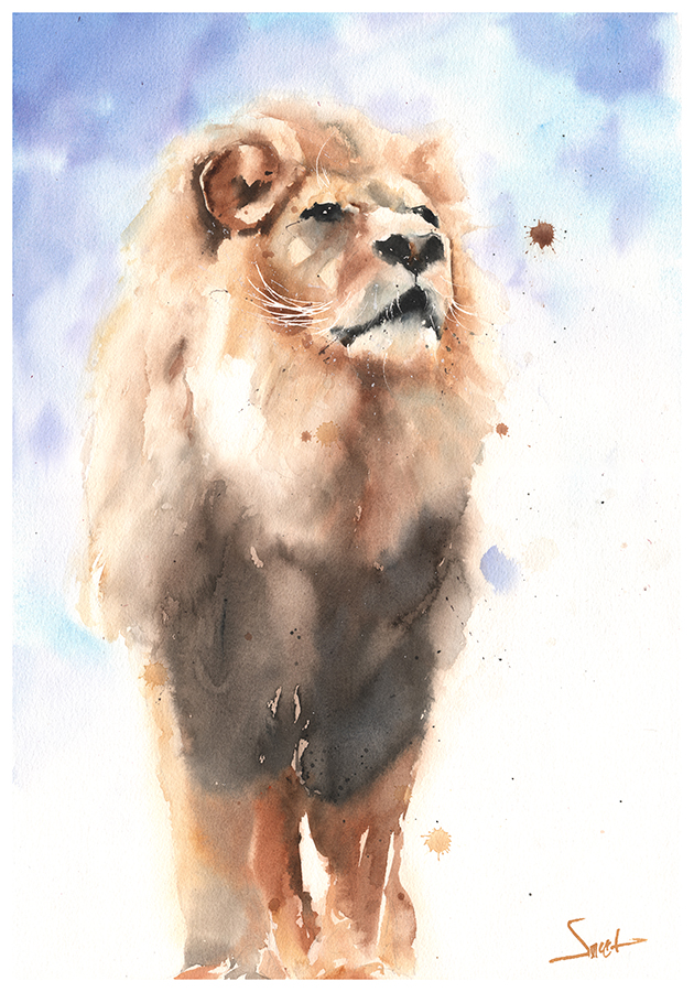 630x900 Lion Watercolor Print Watercolor Animal Paintings - Lion Watercolor