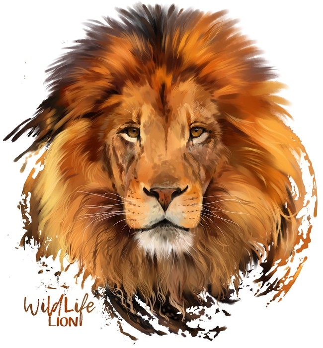 650x700 Lion Watercolor Illustration Wall Mural We Live To Change - Lion Watercolor