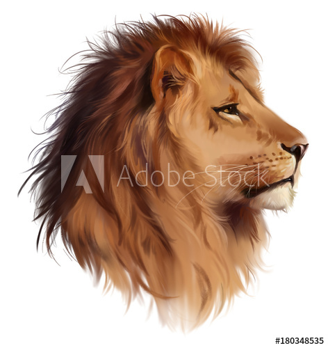 472x500 The Head Of A Lion Watercolor Painting - Lion Watercolor