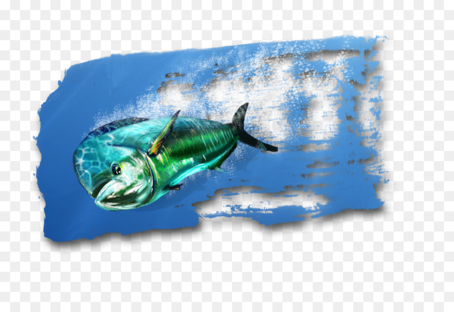 900x620 Marine Biology Fauna Fish - Lizard Watercolor