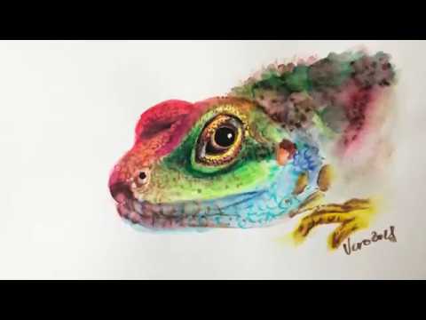 480x360 Painting A Lizard With Lizart Watercolor Brush Pens - Lizard Watercolor