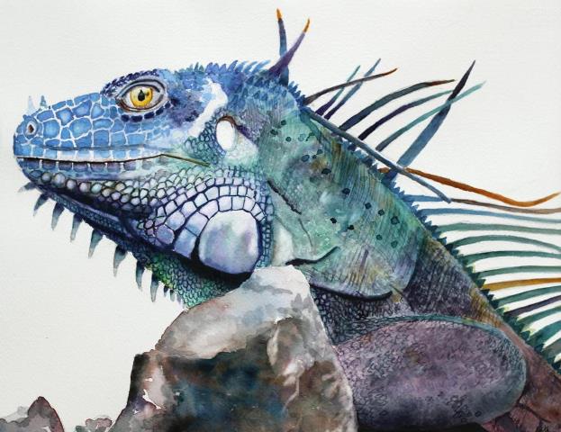 623x480 Watercolor Painting Ideas Every Artist Should Try - Lizard Watercolor