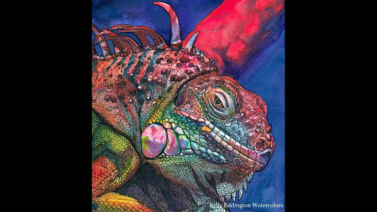 1280x720 Watercolor And Ink Iguana - Lizard Watercolor