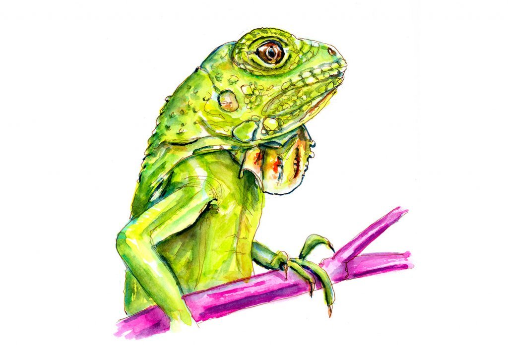 1024x716 Lizard Archives ~ - Lizard Watercolor