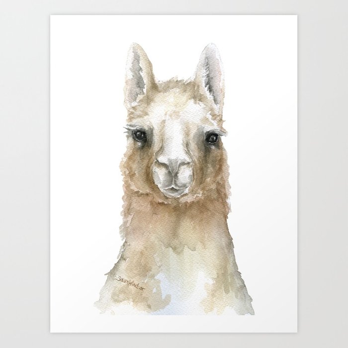 700x700 Llama Watercolor Painting Art Print By Susanwindsor Society6 - Llama Watercolor