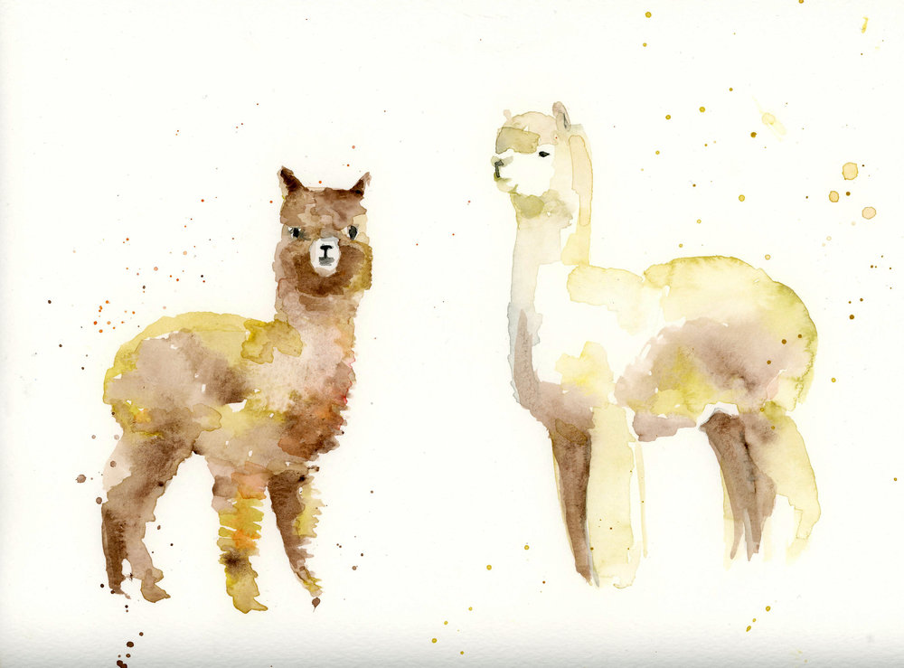 1000x739 Watercolor Animals Natalie Cooperman Illustrator - Llama Watercolor