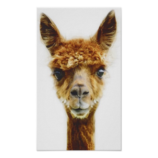 540x540 Funny Llama Watercolor Illustration Poster - Llama Watercolor