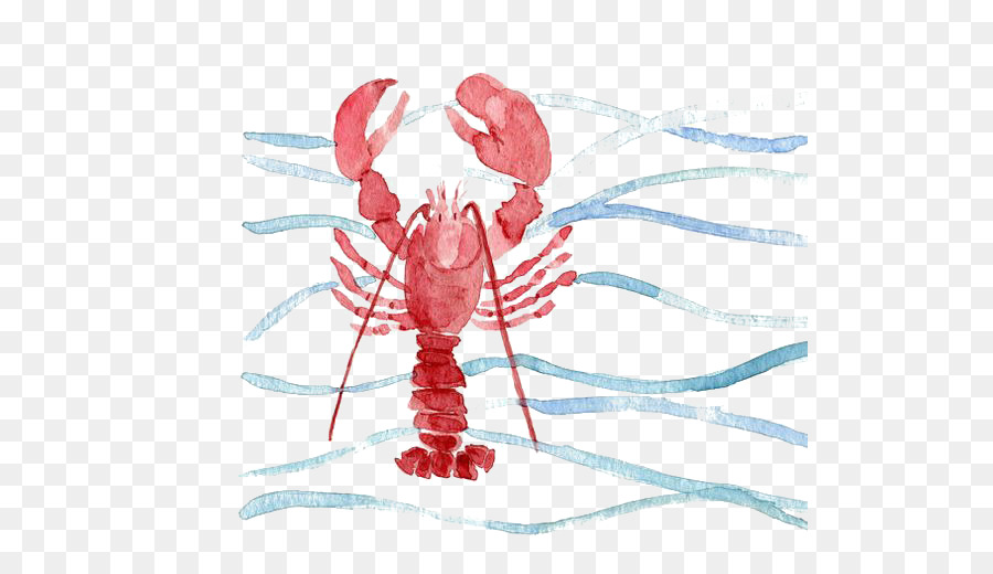 900x520 Download Red Lobster Watercolor Painting Printmaking Watercolor - Lobster Watercolor