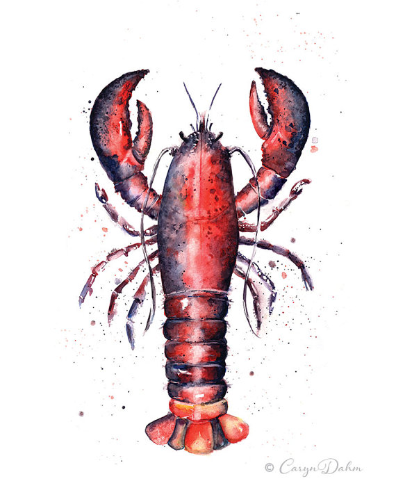 570x725 Fresh Maine Lobster Watercolor Print Food Illustration Kitchen - Lobster Watercolor
