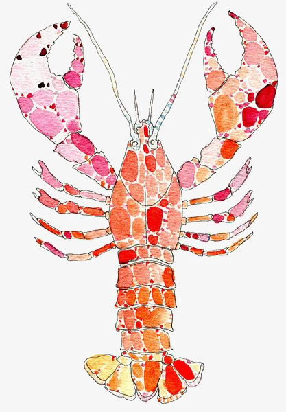 417x600 Lobster, Hand Painted Lobster, Cartoon Lobster, Watercolor Lobster - Lobster Watercolor