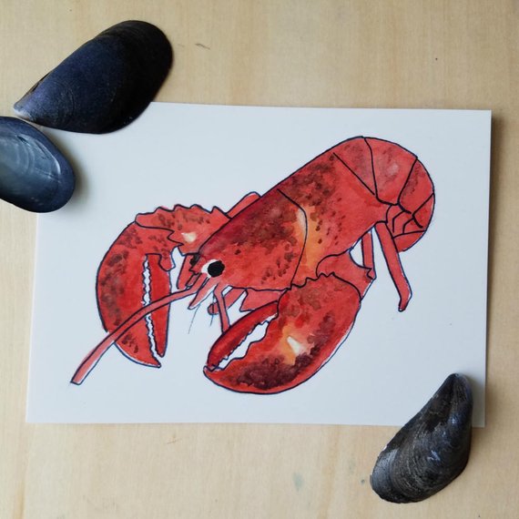 570x570 Lobster Watercolor Postcard Five Pack Nautical Stationery Set Etsy - Lobster Watercolor