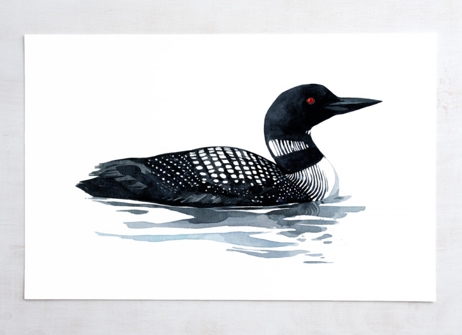 1600x1161 Loon Watercolor Art Print David Scheirer Watercolors - Loon Watercolor