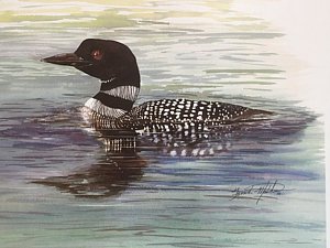 300x225 Loon Watercolor Paintings Fine Art America - Loon Watercolor
