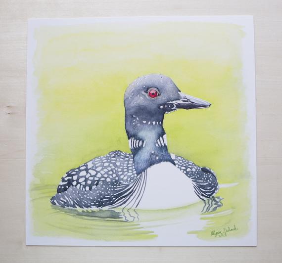 570x532 Loon Watercolor Print Nature Art Bird Painting Etsy - Loon Watercolor