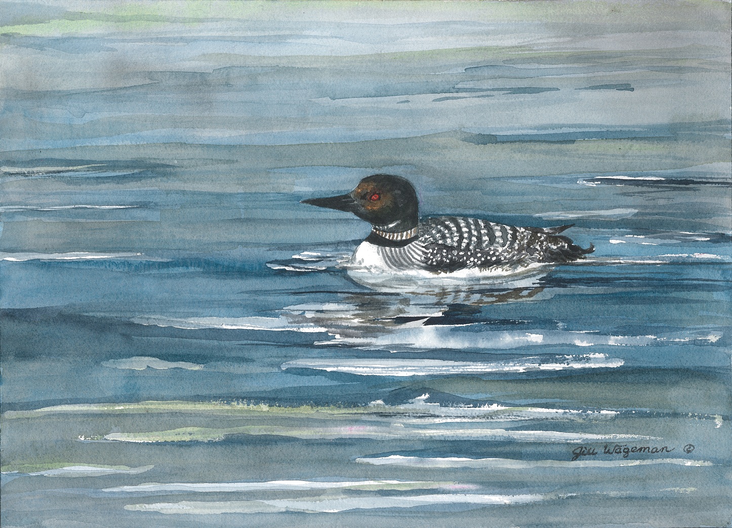 Loon Watercolor at PaintingValley.com | Explore collection of Loon ...