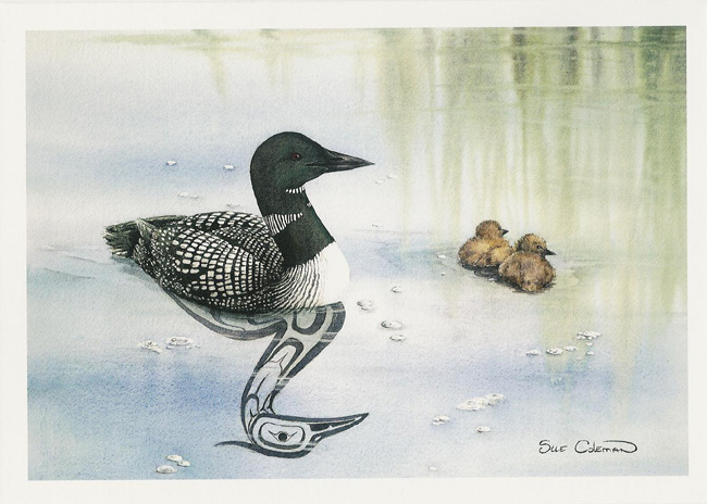 650x464 Sue Coleman Canadian Watercolour Artist Loon And Chicks Ac376 - Loon Watercolor
