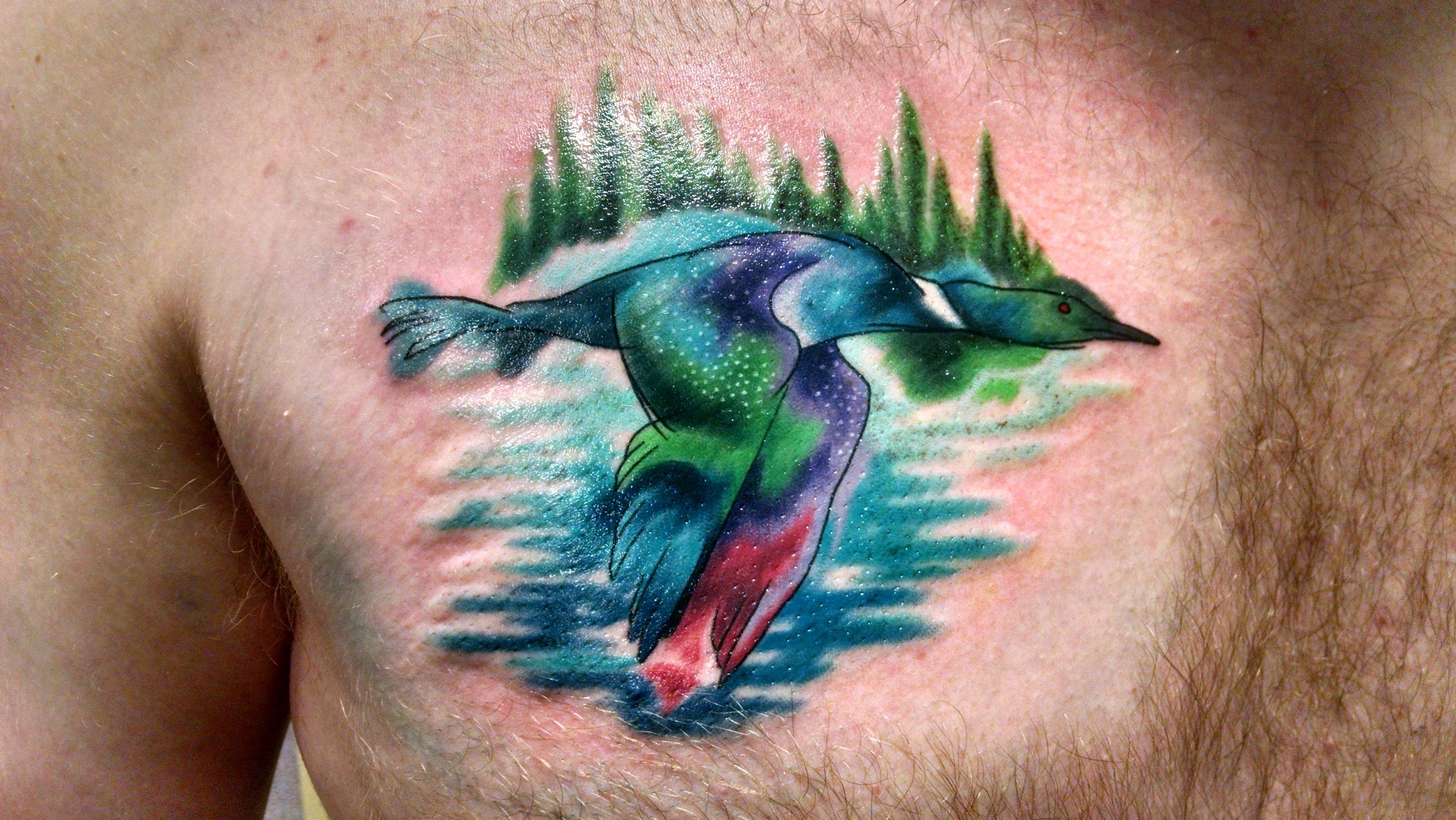 3456x1946 Watercolor Style Loon By Dane V - Loon Watercolor