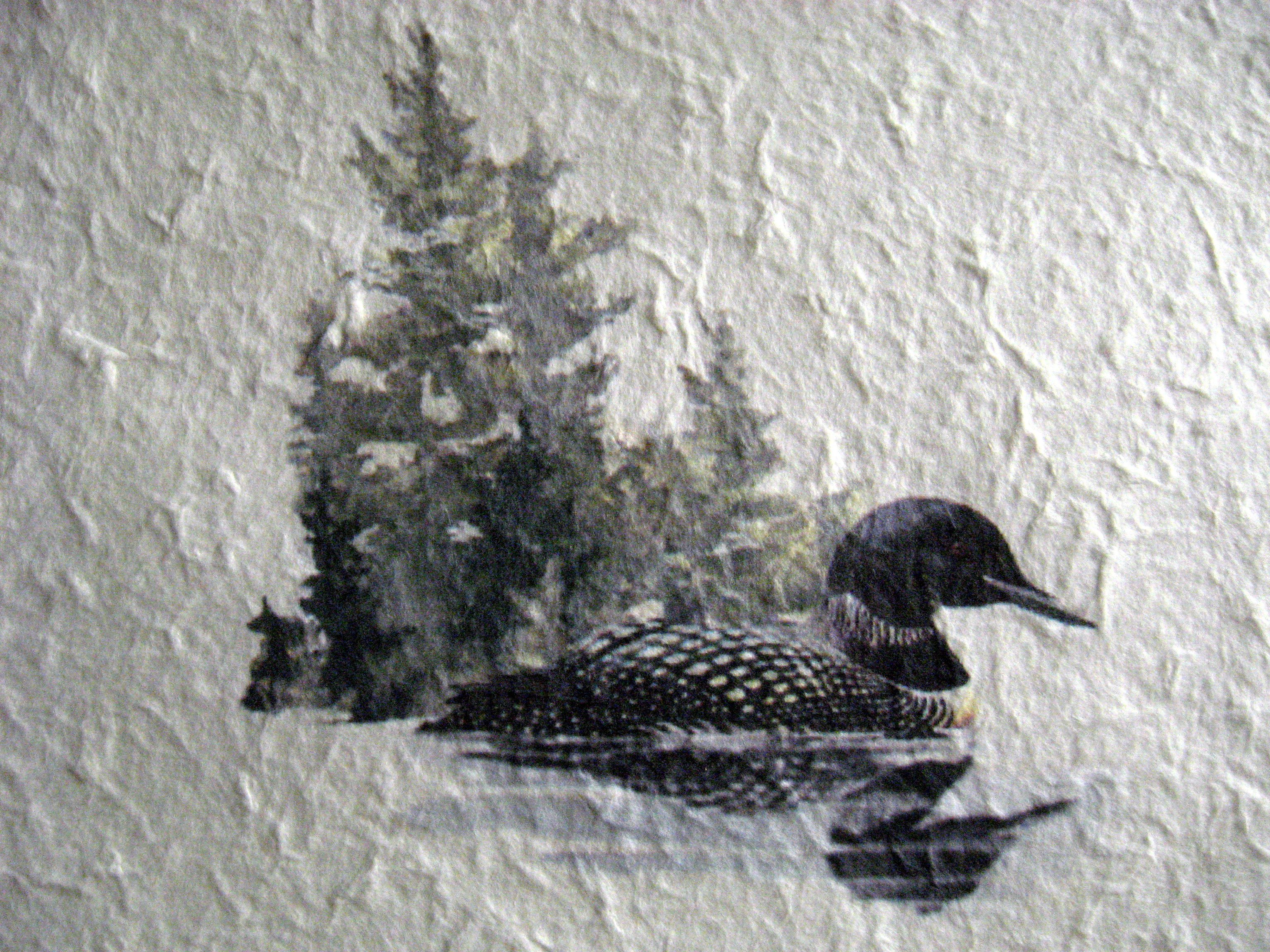 3072x2304 Loon Watercolor Virginia Allain - Loon Watercolor
