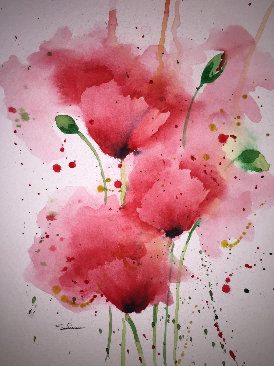 900x1200 Michael Salmon On Twitter Poppies - Loose Watercolor