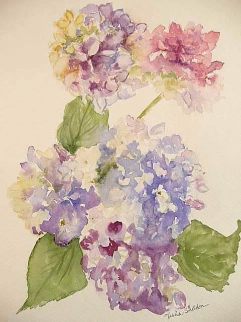 480x640 Hydrangias, Loose Watercolor In 2018 Artwatercolor Flowers - Loose Watercolor Flowers
