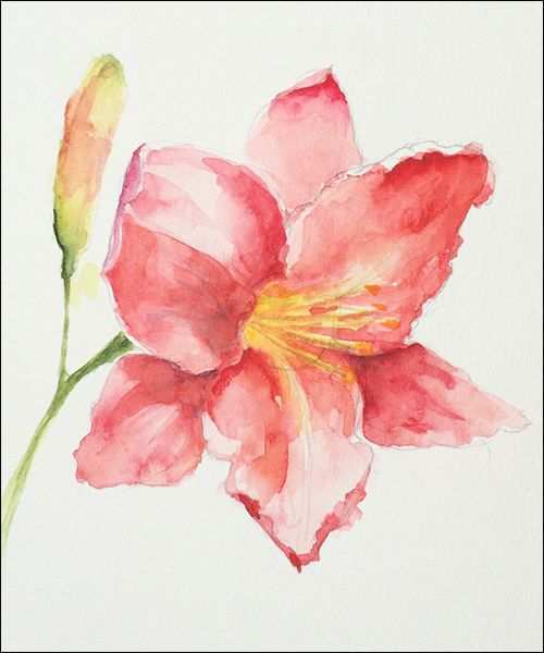 500x600 Lily Painting Unique How To Paint Loose Expressive Lilies In - Loose Watercolor Painting