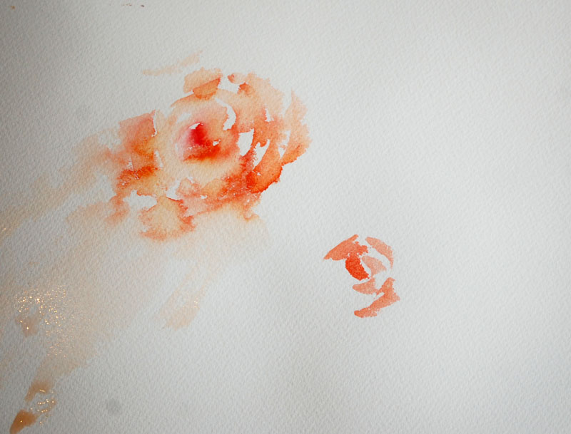 800x609 Watercolours With Life How To Paint Roses In A Loose Style. - Loose Watercolor Painting