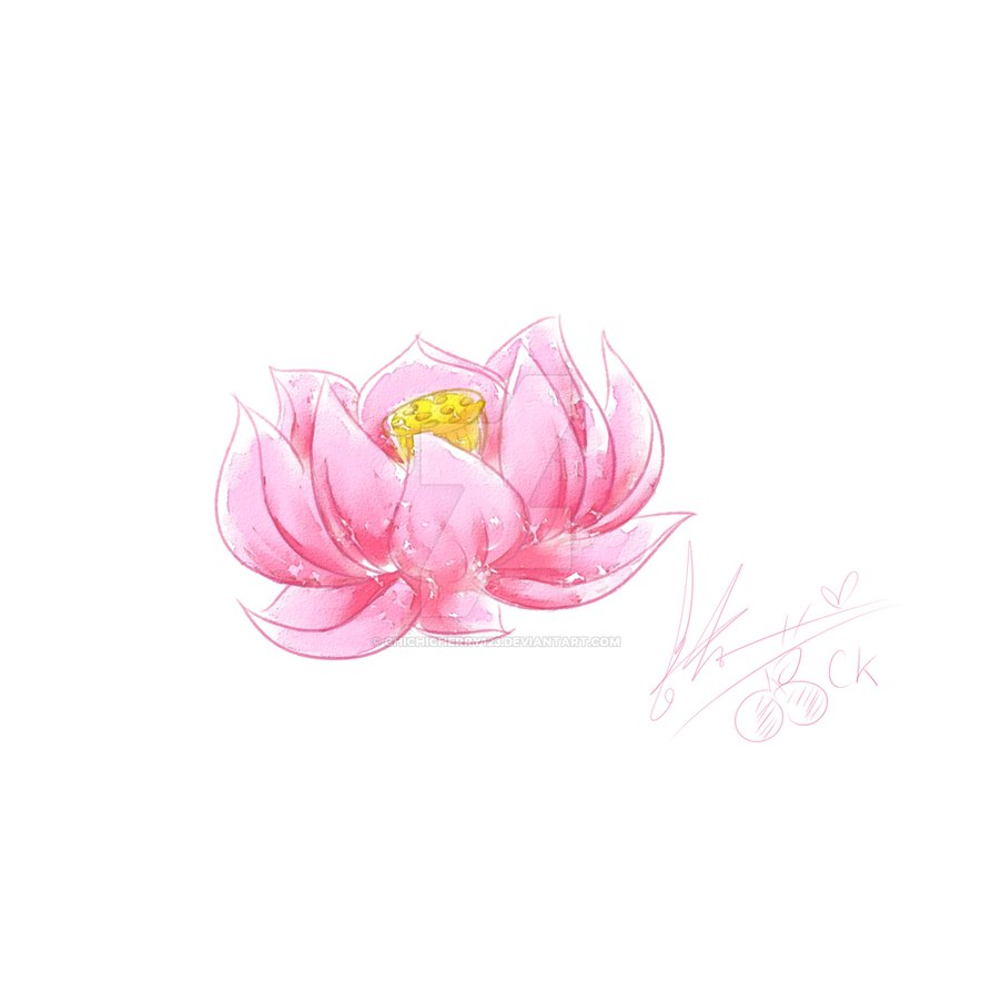 894x894 Lotus Flower - Lotus Flower Watercolor