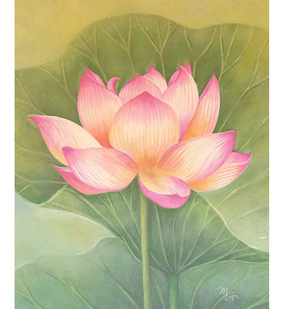 570x619 Pink Lotus Flower Watercolor Painting Art Print, Children Art - Lotus Flower Watercolor