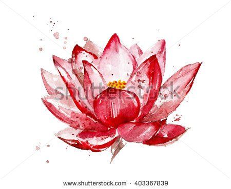 450x369 Pink Lotus Watercolor Illustration Isolated On White Background - Lotus Flower Watercolor
