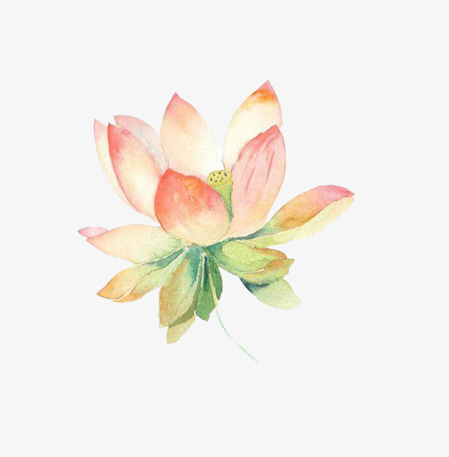 640x650 Soft Watercolor Lotus Pattern, Watercolor Clipart, Lotus Clipart - Lotus Flower Watercolor