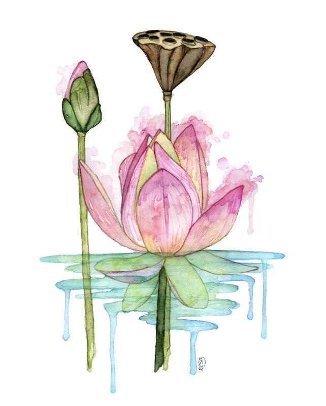 642x801 Watercolor Painting Lotus Painting Watercolor Print Etsy - Lotus Flower Watercolor