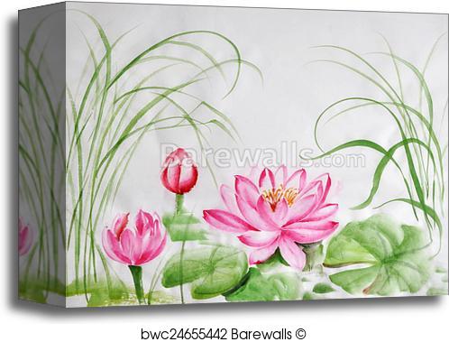 498x379 Canvas Print Of Lotus Flower Watercolor Painting Barewalls - Lotus Flower Watercolor