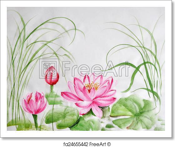560x470 Free Art Print Of Lotus Flower Watercolor Painting. Lotus Flower - Lotus Flower Watercolor