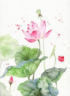 Lotus Watercolor