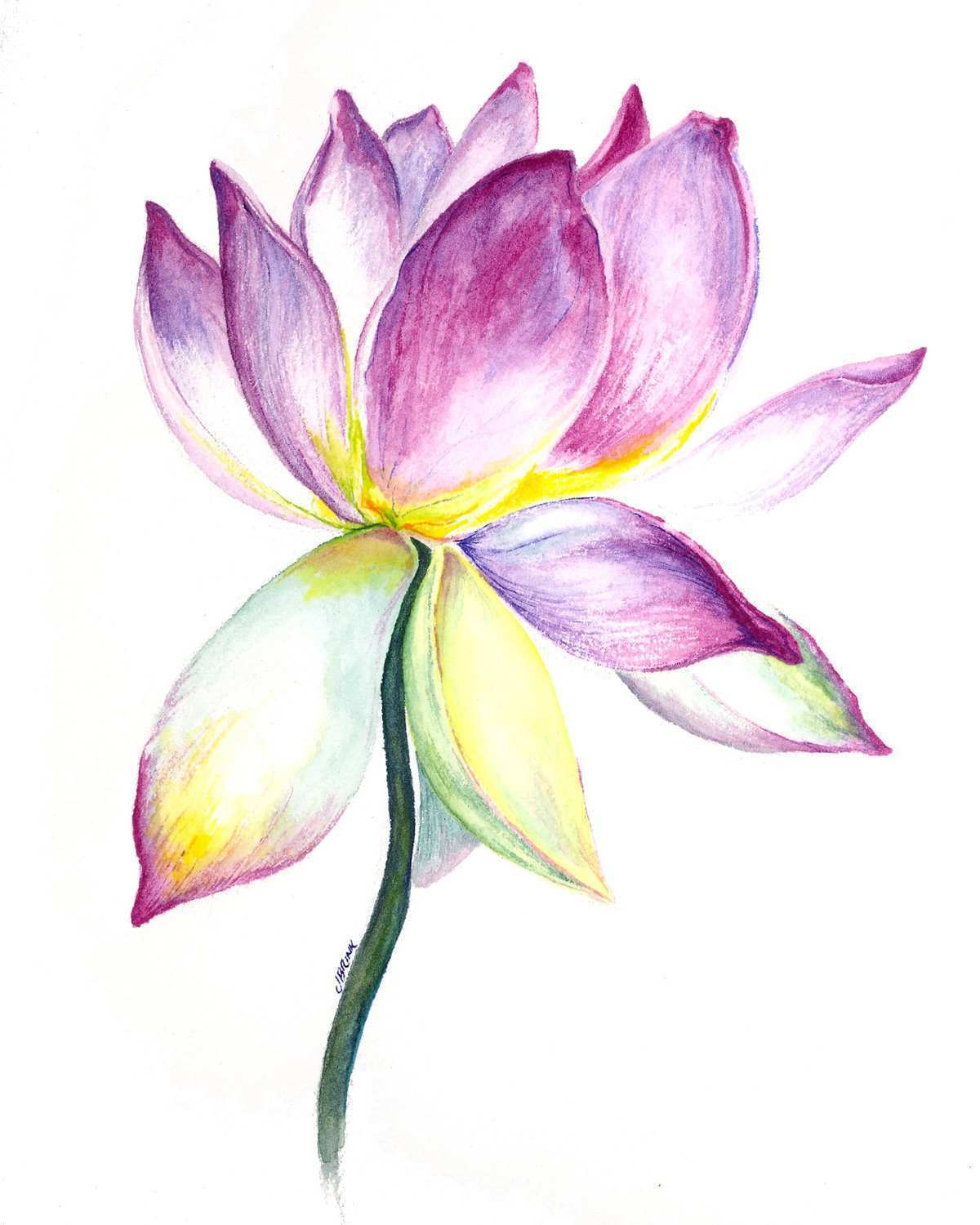 1200x1500 Lotus Painting Fresh Items Similar To Lotus Flower Watercolor - Lotus Watercolor