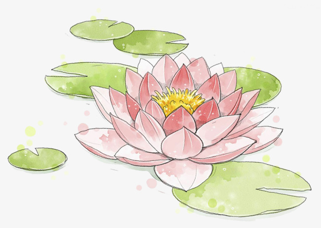 650x461 Lotus Watercolor Painting, Watercolor Clipart, Lotus Clipart Png - Lotus Watercolor