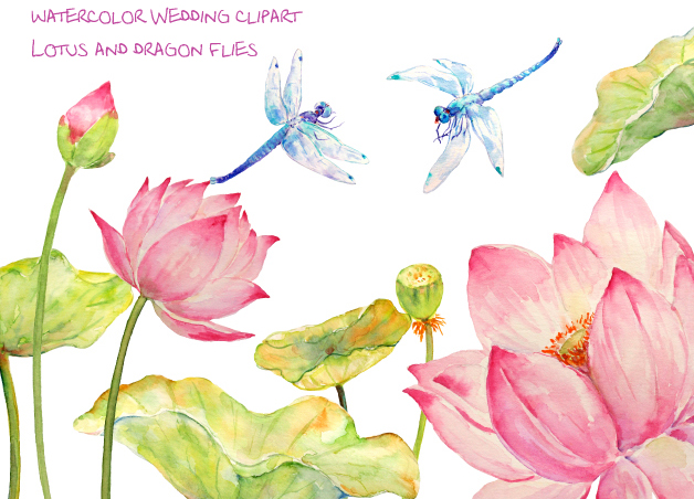 628x452 Watercolor Lotus And Dragon Fly By Cornercroft - Lotus Watercolor
