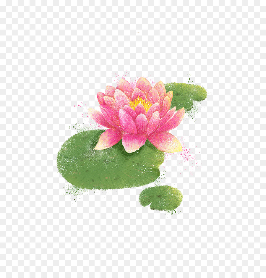 900x940 Watercolor Painting Illustration - Lotus Watercolor