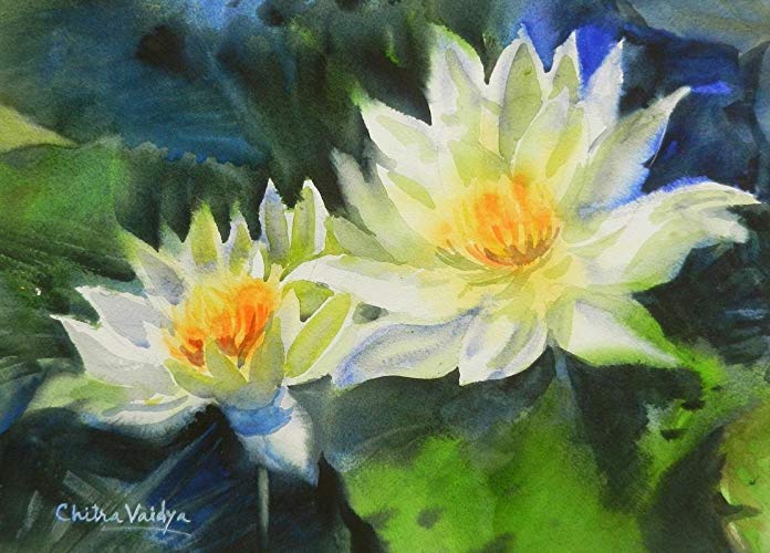 696x500 White Lotus (Watercolor Painting By Chitra Vaidya) Chitra Vaidya - Lotus Watercolor