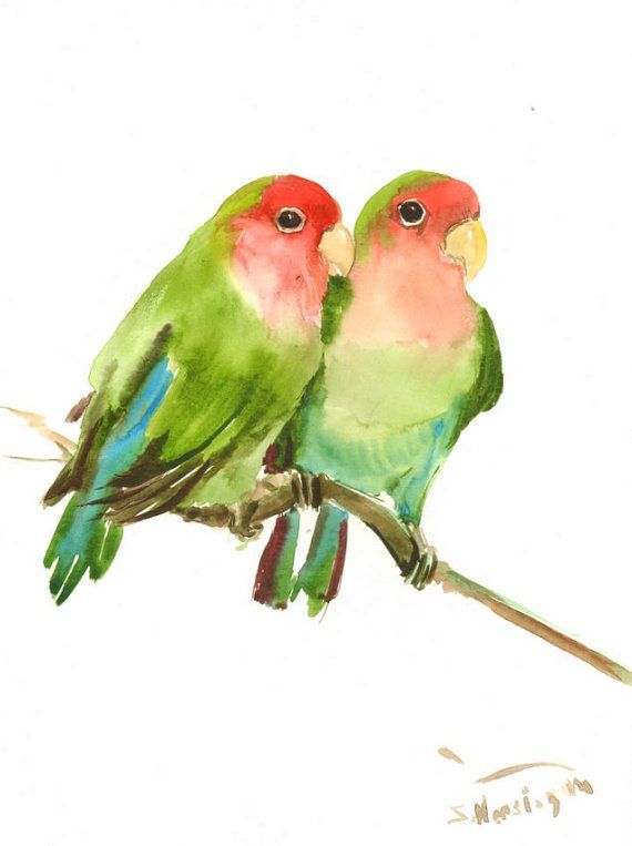570x763 Lovebirds, Original Watercolor Painting, 12 X 9 In, Lovebirds Art - Love Birds Watercolor