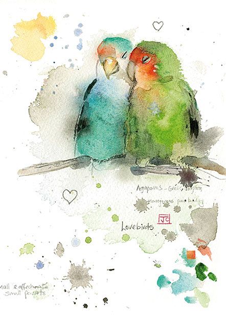 442x620 Lovebirds - Love Birds Watercolor