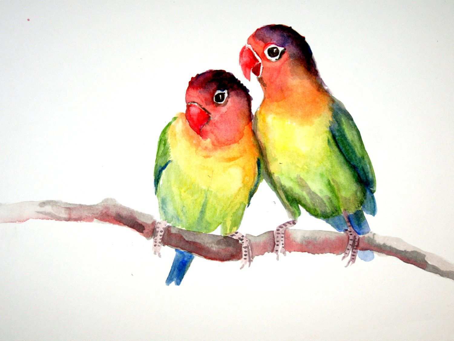 1500x1126 Birds Painting Watercolor New Lovebirds Original Watercolor - Love Birds Watercolor