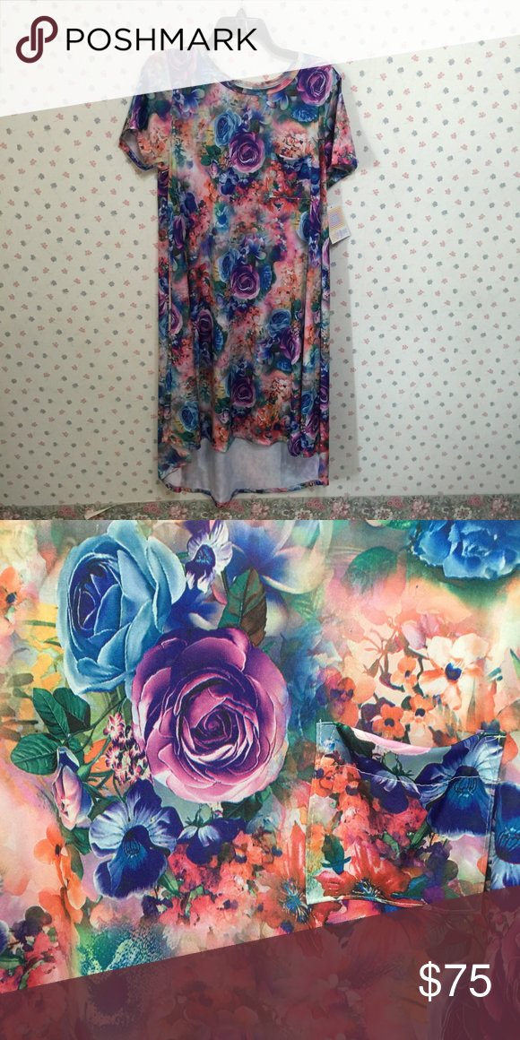 580x1160 Lularoe Floral Carly Dress Large Nwt Beautiful Floral Watercolor - Lularoe Watercolor