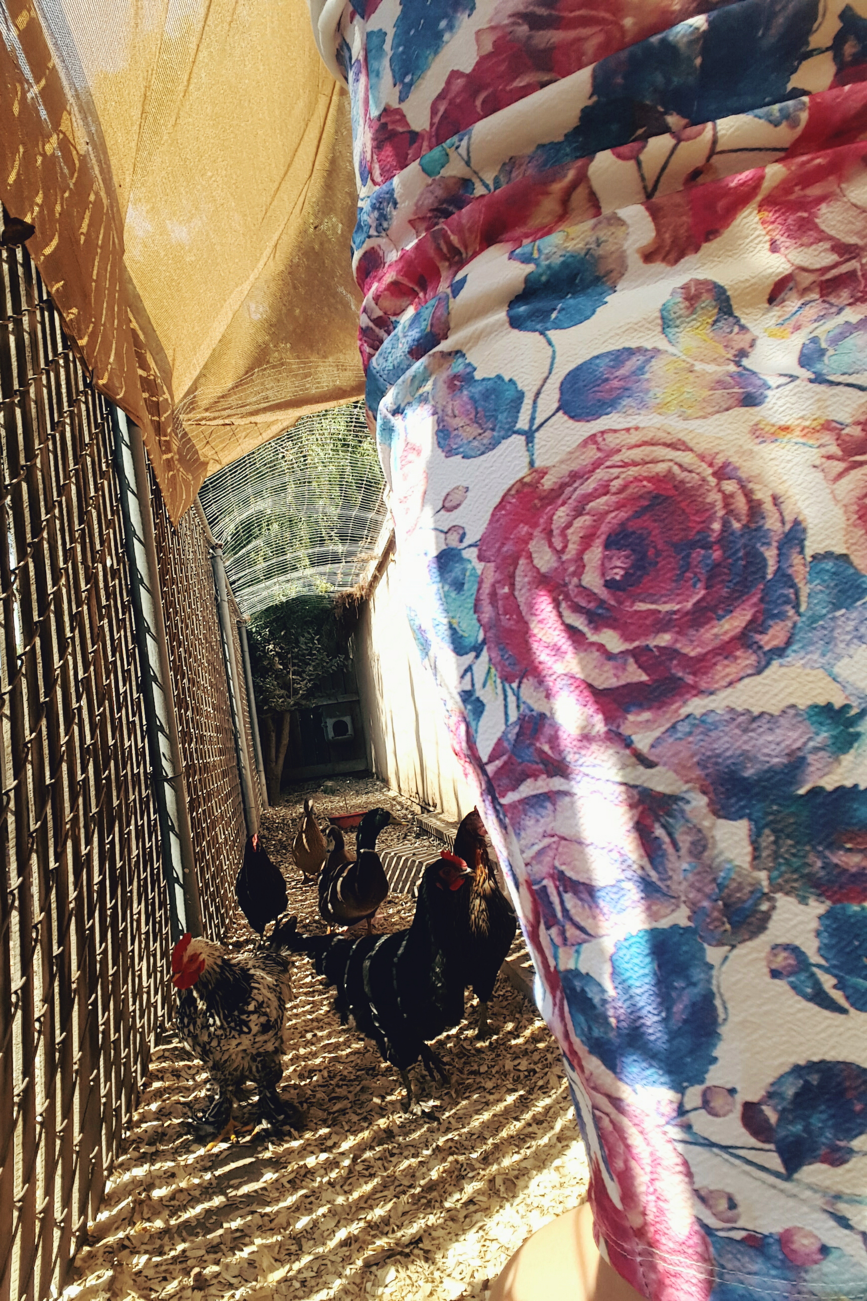 1727x2592 What About Butter Loving Lularoe! Coffee, Copper And The - Lularoe Watercolor