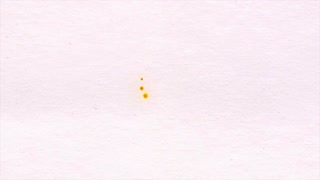 320x180 Vibrant Watercolor Loop Motion Background - Luma Watercolor